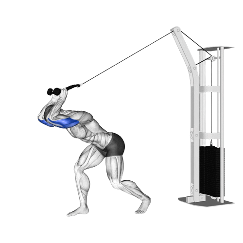 Overhead Rope Tricep Extension Starting Motion