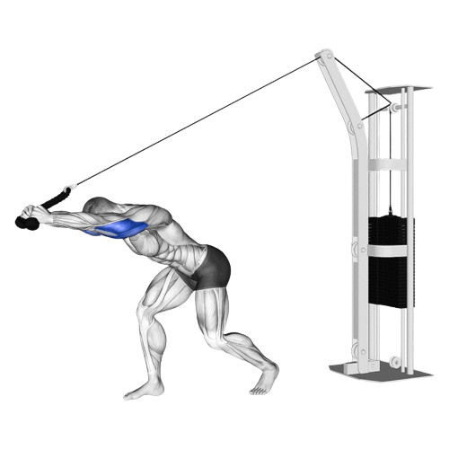 Overhead Rope Tricep Extension Ending Motion