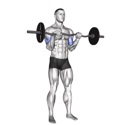 Reverse Curl Ending Motion