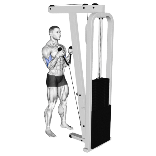 Rope Cable Curl Ending Motion