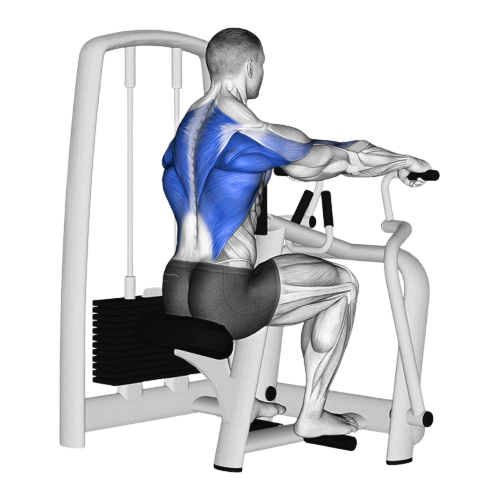 Chest Supported Machine Row Starting Motion