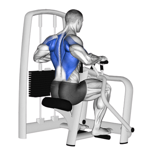 Chest Supported Machine Row Ending Motion