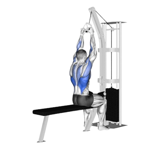 Close Grip Lat Pulldown Starting Motion