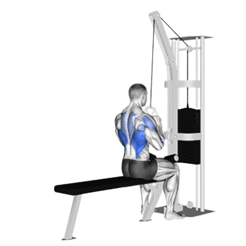 Close Grip Lat Pulldown Ending Motion