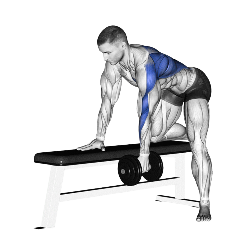 Dumbbell Row Starting Motion