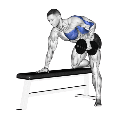 Dumbbell Row Ending Motion