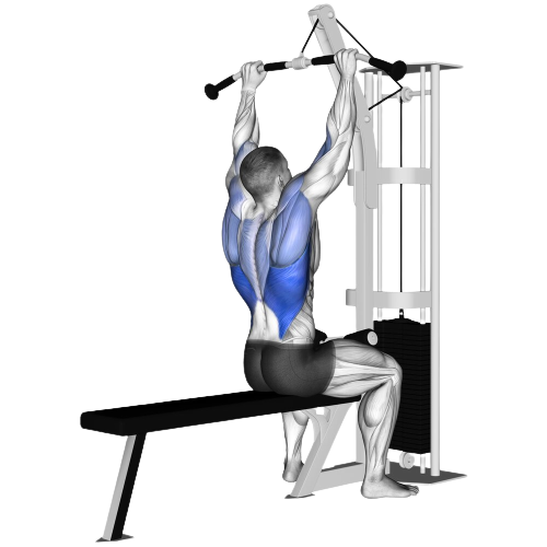 Lat Pulldown Starting Motion