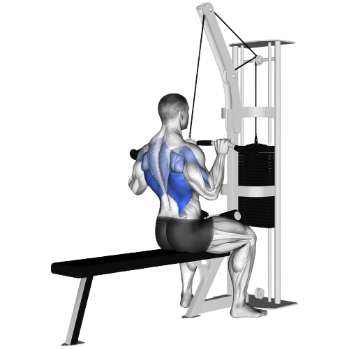 Lat Pulldown Ending Motion