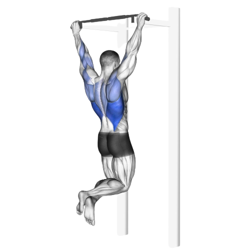 Pull Ups Starting Motion