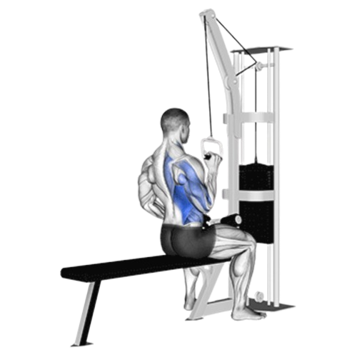 Single Arm Lat Pulldown Ending Motion