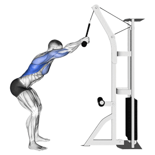 Straight Arm Pulldown Starting Motion