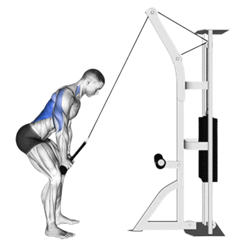 Straight Arm Pulldown Ending Motion