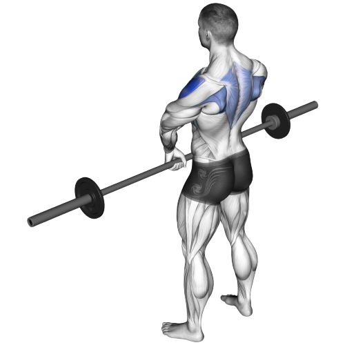 Upright Row Starting Motion