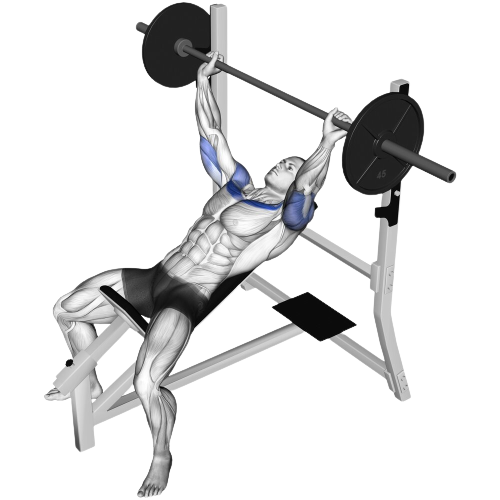 Incline Barbell Bench Press Starting Motion