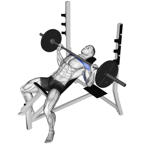 Incline Barbell Bench Press Ending Motion