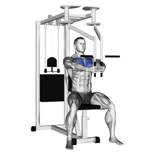 Machine Chest Fly Ending Motion