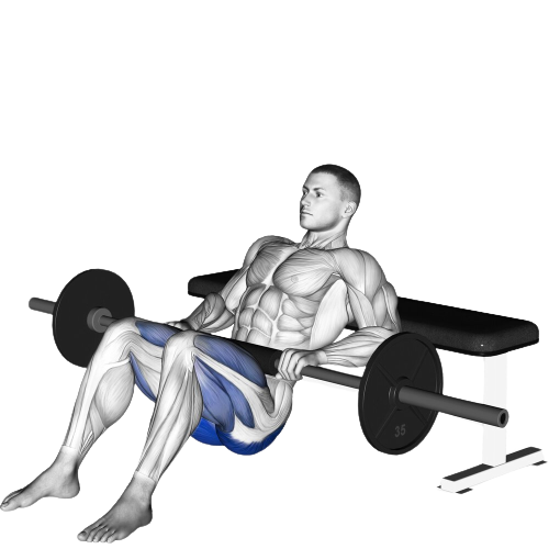 Barbell Hip Thrust Starting Motion