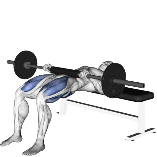 Barbell Hip Thrust Ending Motion