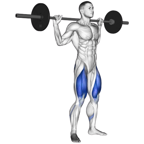 Barbell Squat Starting Motion