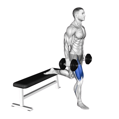 Bulgarian Split Squat Starting Motion