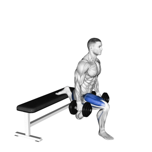 Bulgarian Split Squat Ending Motion