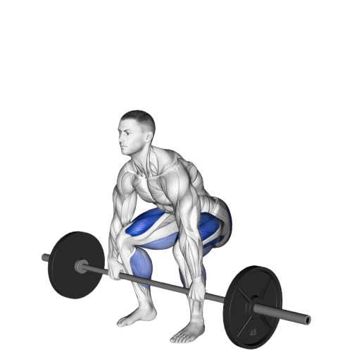 Deadlift Starting Motion