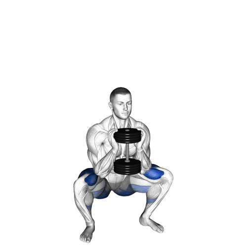 Goblet Squat Ending Motion