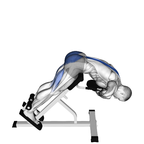 Hyperextension Starting Motion