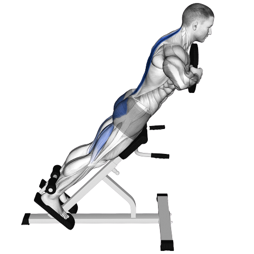 Hyperextension Ending Motion