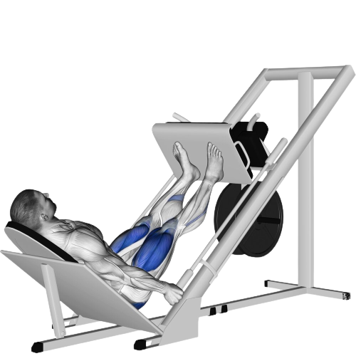 Leg Press Starting Motion