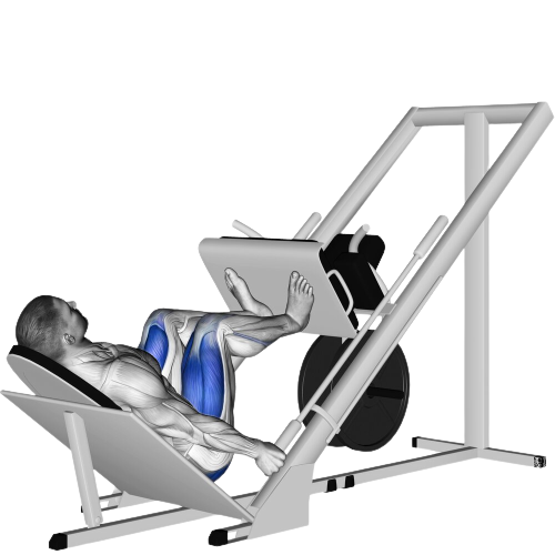 Leg Press Ending Motion