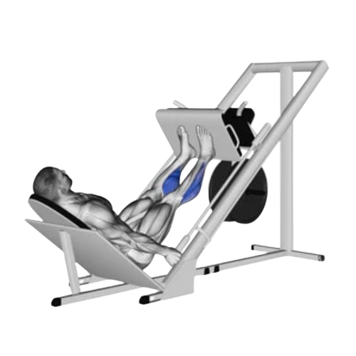 Leg Press Calf Raise Starting Motion