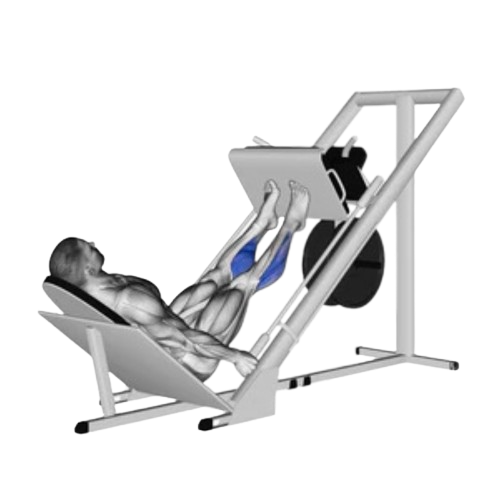 Leg Press Calf Raise Ending Motion