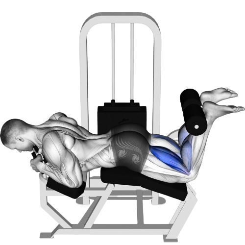 Lying Leg Curl Ending Motion