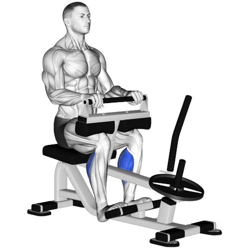 Seated Machine Calf Raise Starting Motion