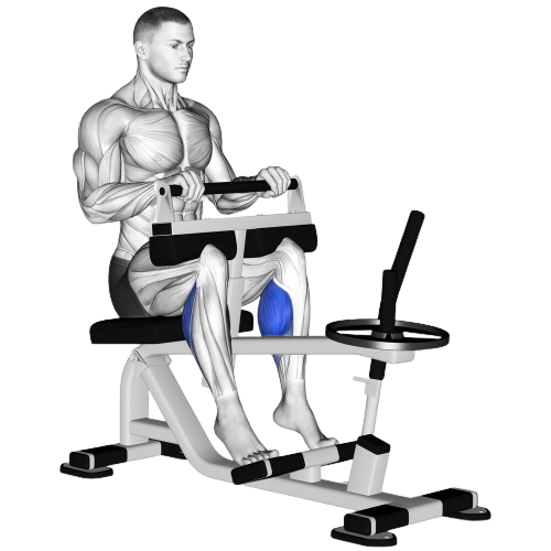 Seated Machine Calf Raise Ending Motion