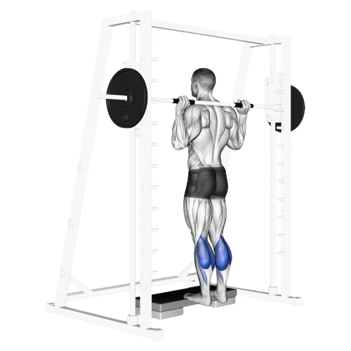 Barbell Calf Raise Starting Motion