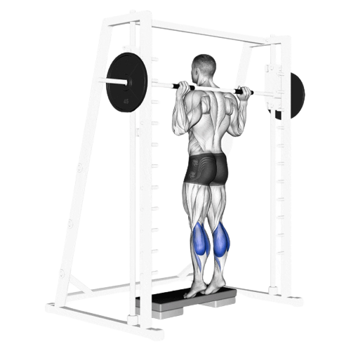 Barbell Calf Raise Ending Motion