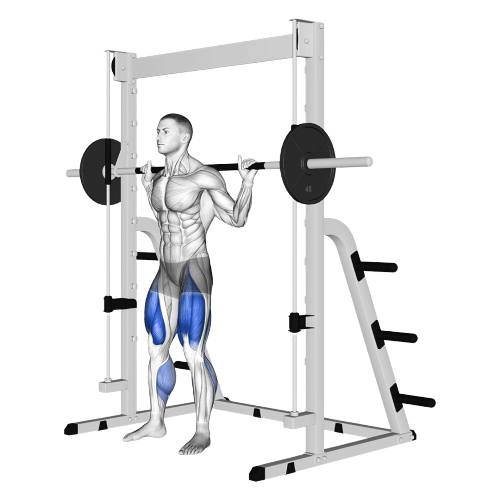 Smith Machine Squat Starting Motion