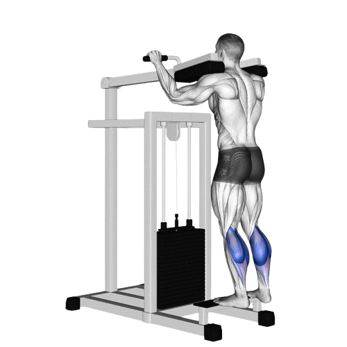 Standing Machine Calf Raise Starting Motion