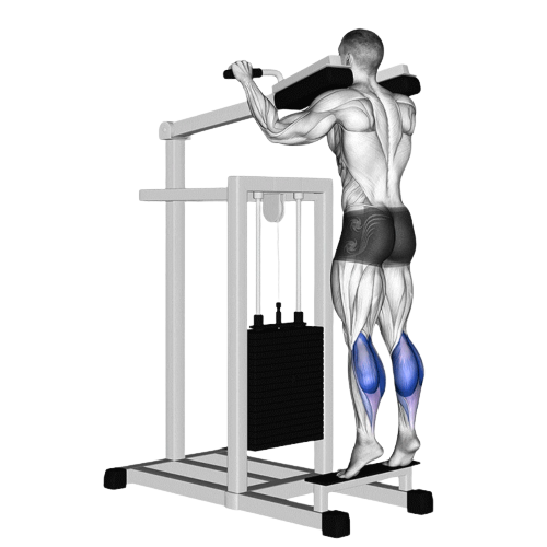 Standing Machine Calf Raise Ending Motion