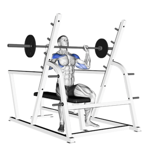 Barbell Shoulder Press Starting Motion