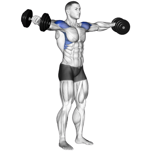 Dumbbell Lateral Raise Ending Motion