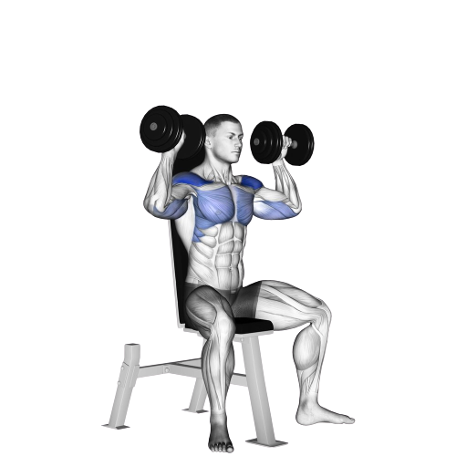 Dumbbell Shoulder Press Starting Motion