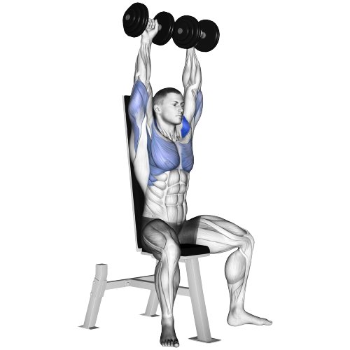 Dumbbell Shoulder Press Ending Motion