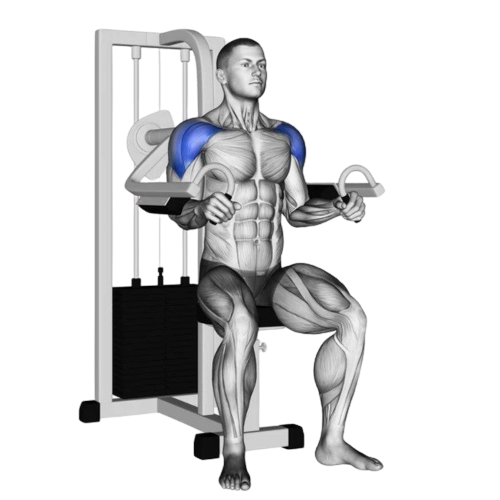 Machine Lateral Raise Starting Motion