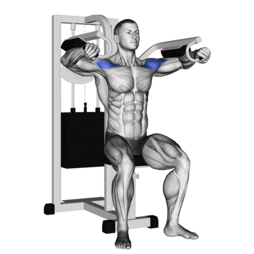 Machine Lateral Raise Ending Motion