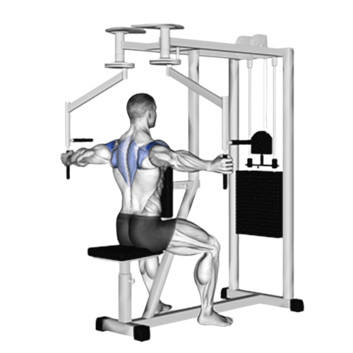 Machine Reverse Fly Ending Motion