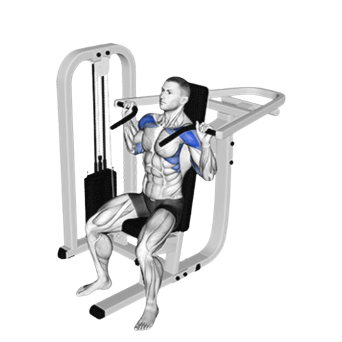 Machine Shoulder Press Starting Motion