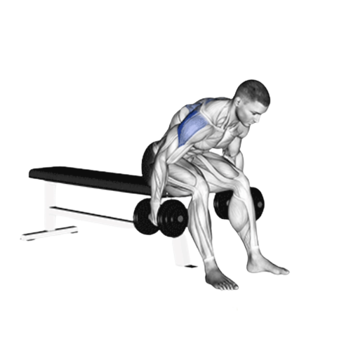 Seated Reverse Fly Starting Motion